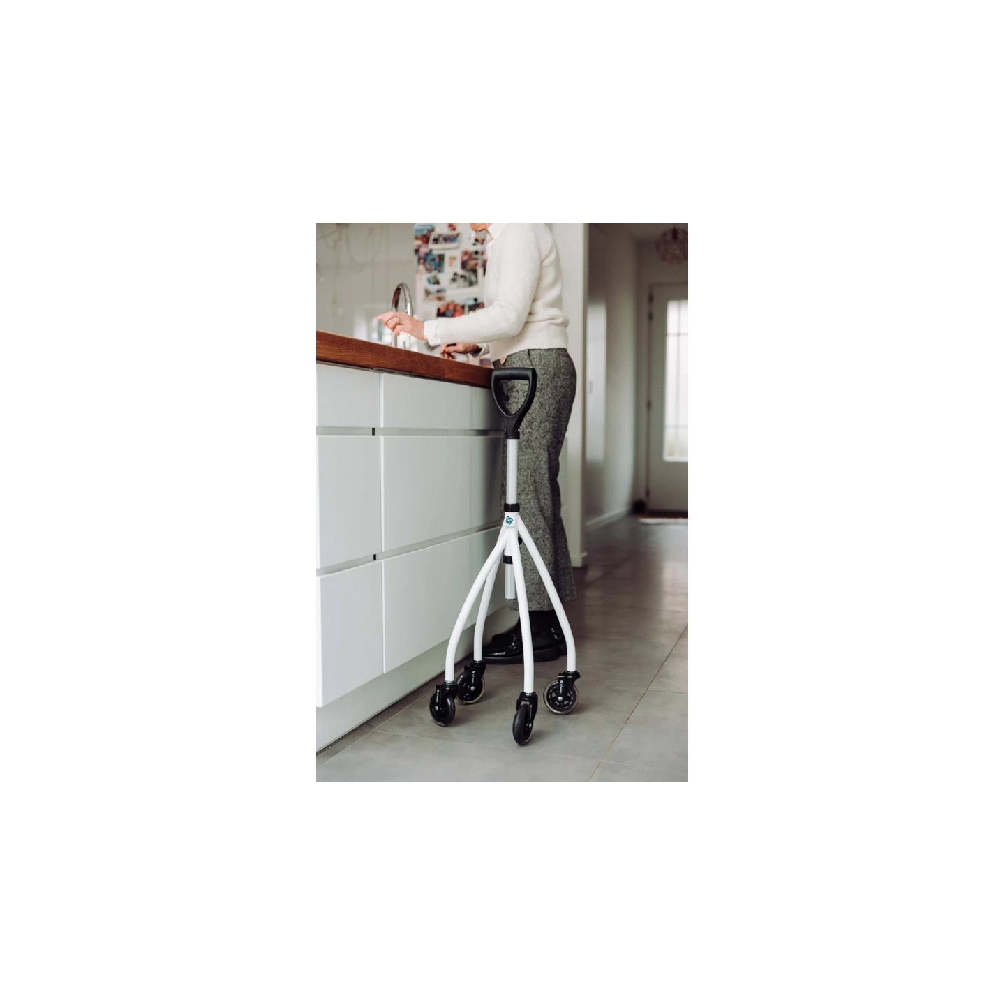 Wheeleo v2